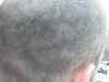 FIT_one_week_po.jpg (70603 bytes)