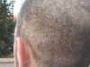 fit_4_day.jpg (62917 bytes)