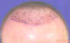 DSC04459.JPG (12689 bytes)