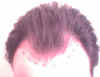 FRONTCorr1.jpg (36577 bytes)