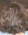 back-of-my-head.jpg (89713 bytes)