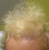 justin2003d.jpg (364836 bytes)