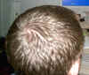 crown1.jpg (101637 bytes)